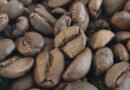 Come la Slow Food Coffee Coalition sta migliorando la filiera del caffè con l’uso della blockchain