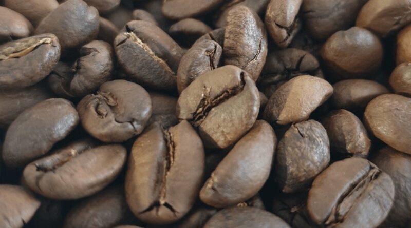 Come la Slow Food Coffee Coalition sta migliorando la filiera del caffè con l’uso della blockchain